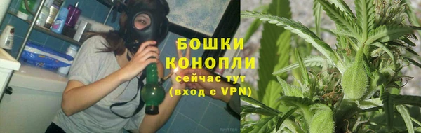 СК Няндома