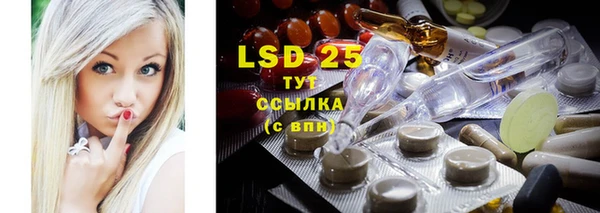 амф Новодвинск