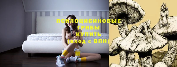 СК Няндома