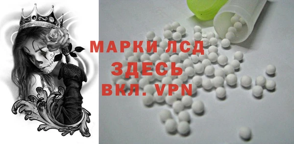 амф Новодвинск