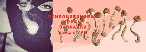 СК Няндома